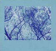 Steven R Smith : Owl